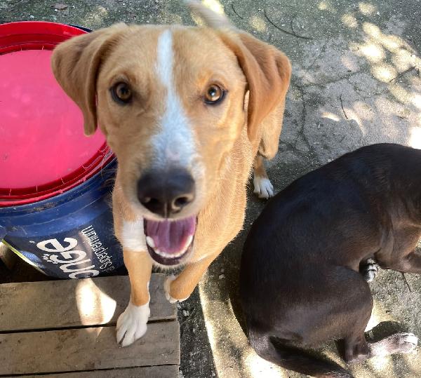 OLIVER Foto 9